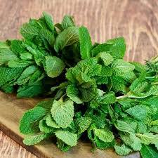 Menthe (botte)