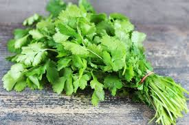 Coriandre (Botte)