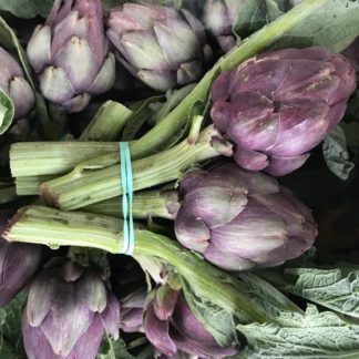 Artichaut Violet Poivrade (En Bouquet)