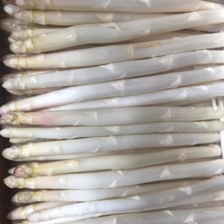 Asperge Blanche (Calibre 12/16)